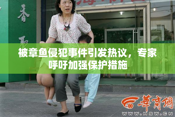 被章鱼侵犯事件引发热议，专家呼吁加强保护措施