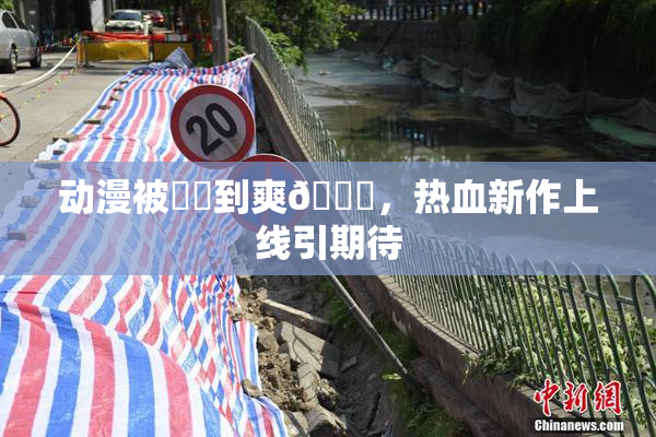 动漫被❌‌到爽🔞，热血新作上线引期待