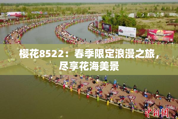 樱花8522：春季限定浪漫之旅，尽享花海美景