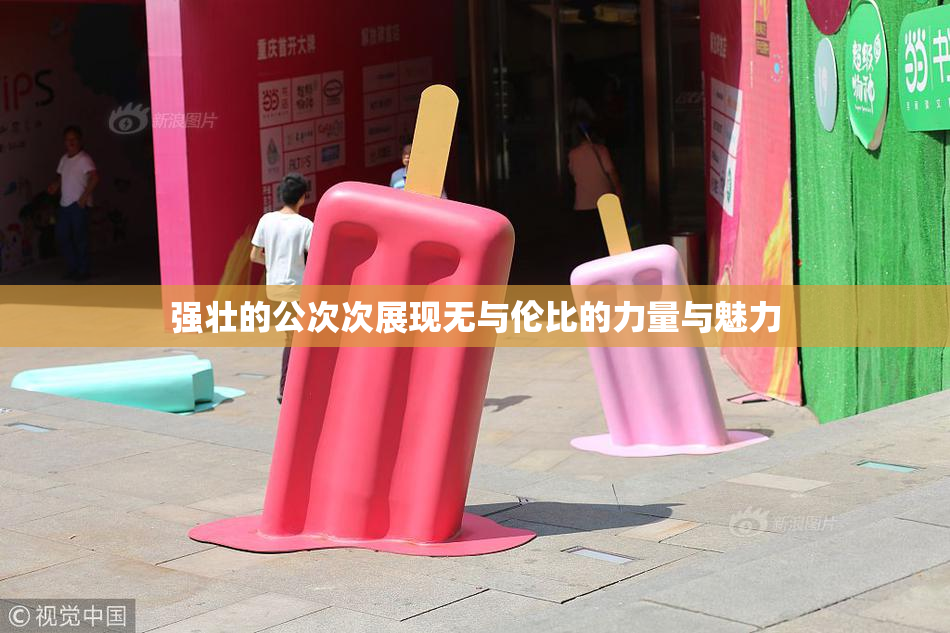 强壮的公次次展现无与伦比的力量与魅力