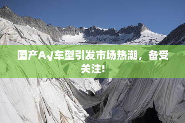 国产A√车型引发市场热潮，备受关注!