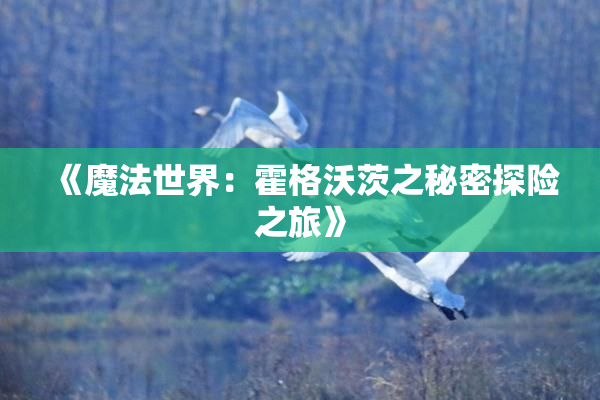 《魔法世界：霍格沃茨之秘密探险之旅》