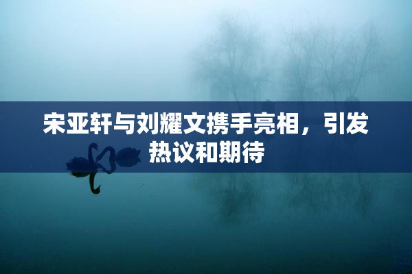 宋亚轩与刘耀文携手亮相，引发热议和期待