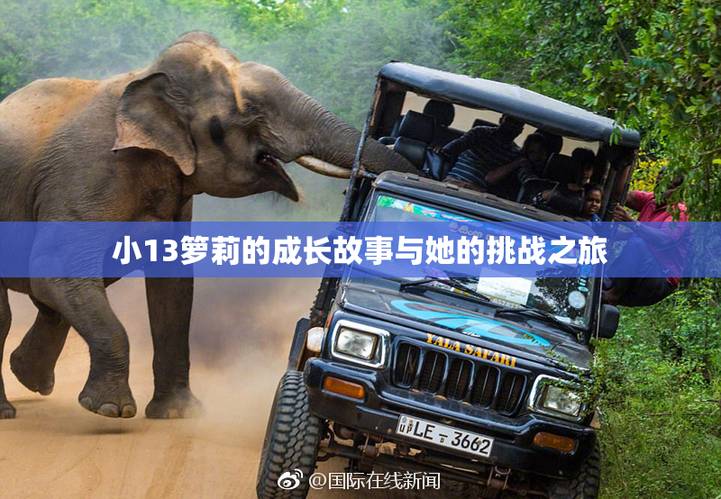 小13箩莉的成长故事与她的挑战之旅