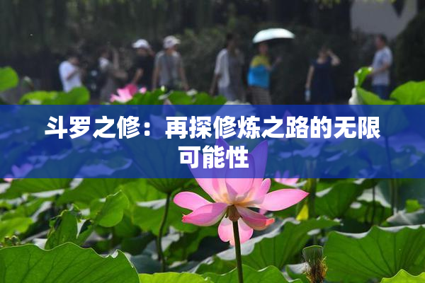 斗罗之修：再探修炼之路的无限可能性