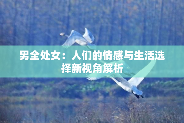 男全处女：人们的情感与生活选择新视角解析