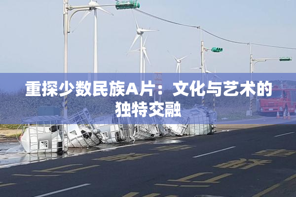 重探少数民族A片：文化与艺术的独特交融