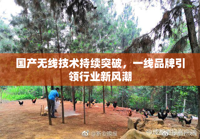 国产无线技术持续突破，一线品牌引领行业新风潮