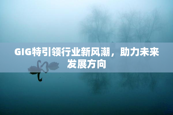 GIG特引领行业新风潮，助力未来发展方向