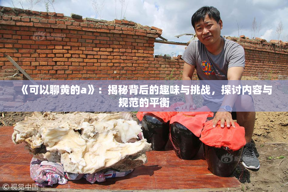 《可以聊黄的a》：揭秘背后的趣味与挑战，探讨内容与规范的平衡