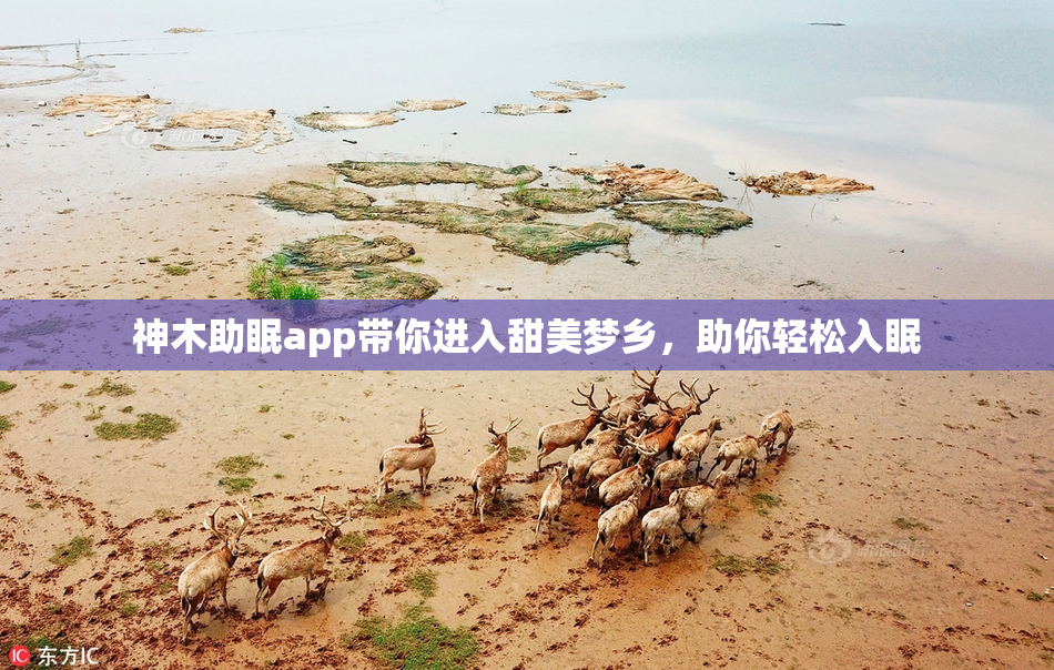 神木助眠app带你进入甜美梦乡，助你轻松入眠