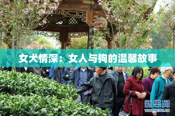女犬情深：女人与狗的温馨故事