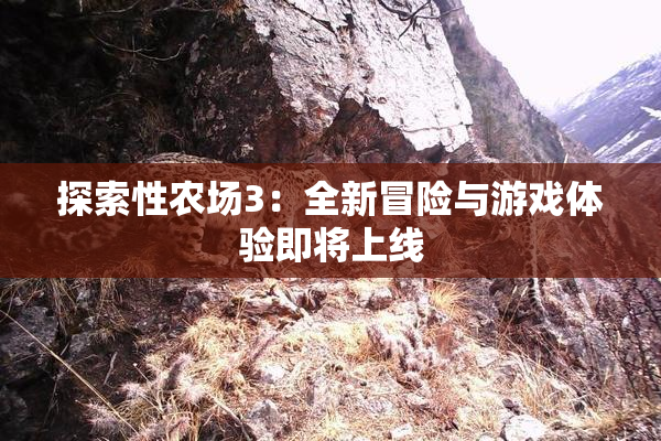 探索性农场3：全新冒险与游戏体验即将上线