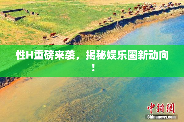 性H重磅来袭，揭秘娱乐圈新动向！