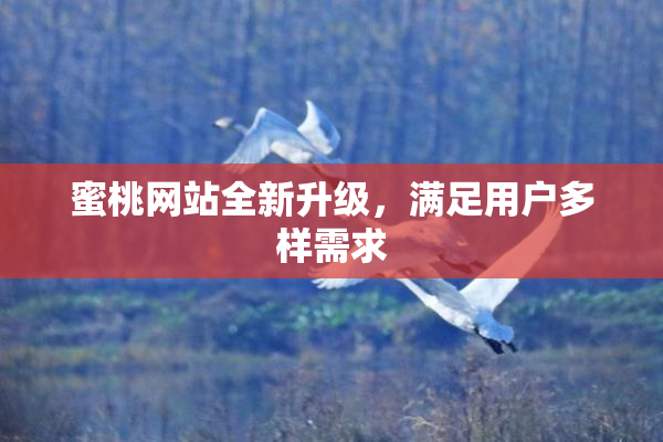 蜜桃网站全新升级，满足用户多样需求