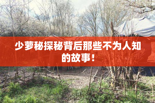 少萝秘探秘背后那些不为人知的故事！