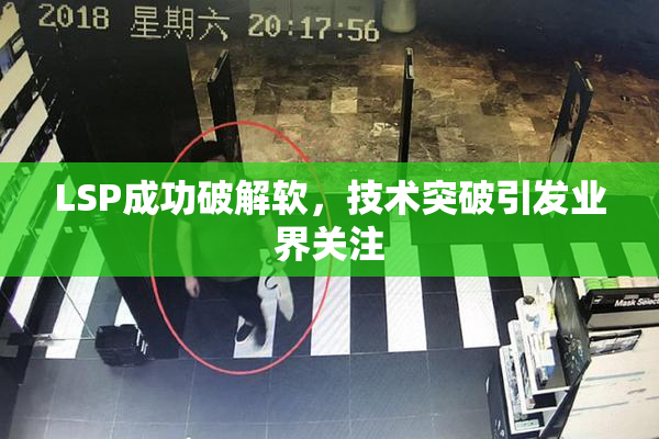 LSP成功破解软，技术突破引发业界关注