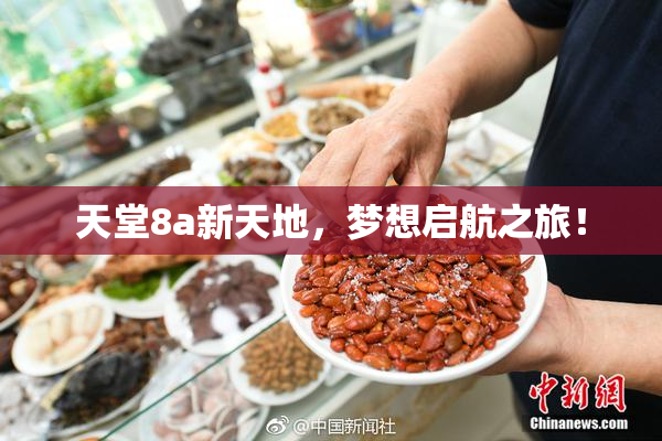 天堂8a新天地，梦想启航之旅！
