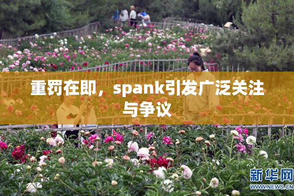 重罚在即，spank引发广泛关注与争议