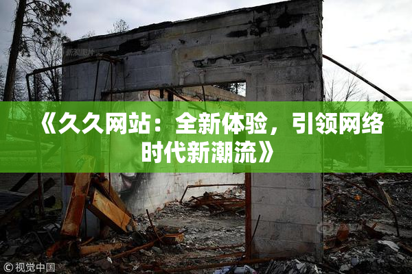 《久久网站：全新体验，引领网络时代新潮流》