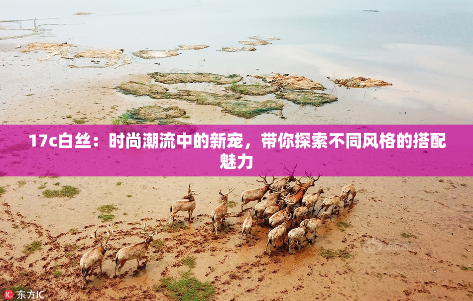 17c白丝：时尚潮流中的新宠，带你探索不同风格的搭配魅力