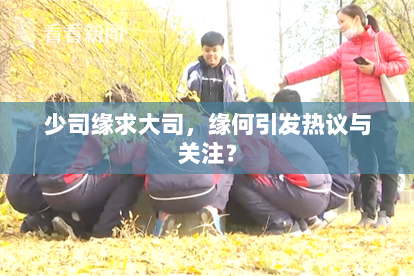 少司缘求大司，缘何引发热议与关注？