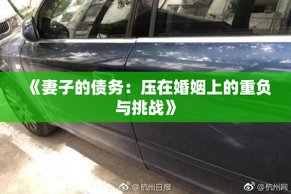 《妻子的债务：压在婚姻上的重负与挑战》