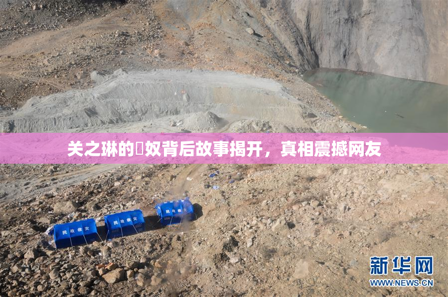 关之琳的婬奴背后故事揭开，真相震撼网友