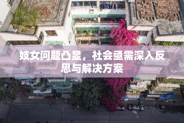 妓女问题凸显，社会亟需深入反思与解决方案
