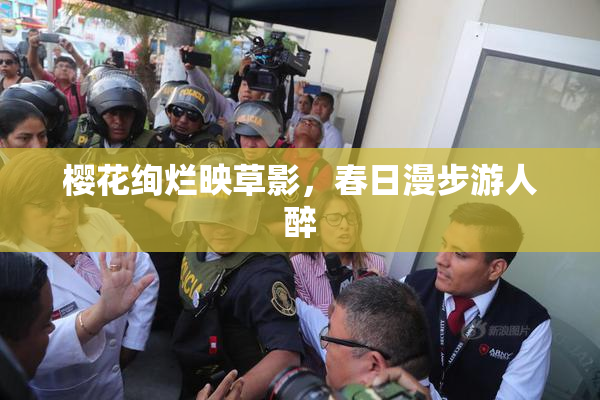 樱花绚烂映草影，春日漫步游人醉