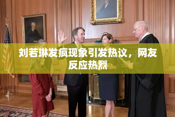 刘若琳发疯现象引发热议，网友反应热烈