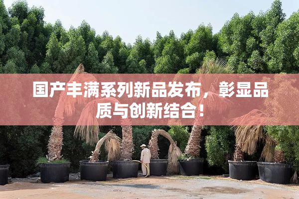 国产丰满系列新品发布，彰显品质与创新结合！