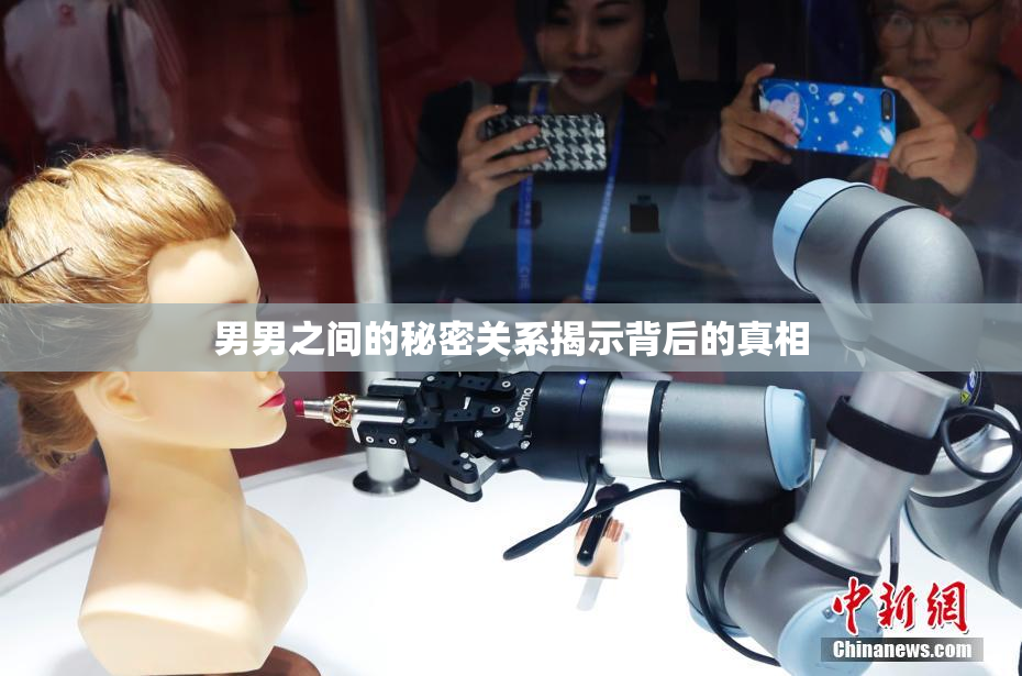 男男之间的秘密关系揭示背后的真相
