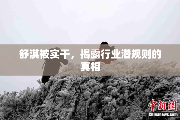 舒淇被实干，揭露行业潜规则的真相