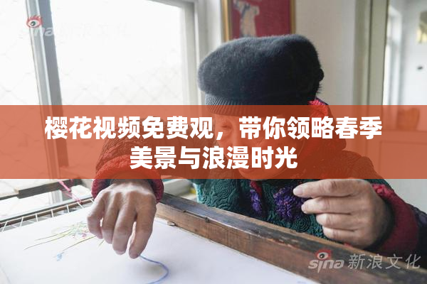 樱花视频免费观，带你领略春季美景与浪漫时光
