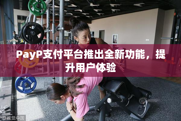 PayP支付平台推出全新功能，提升用户体验