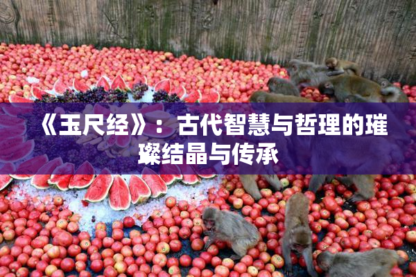 《玉尺经》：古代智慧与哲理的璀璨结晶与传承