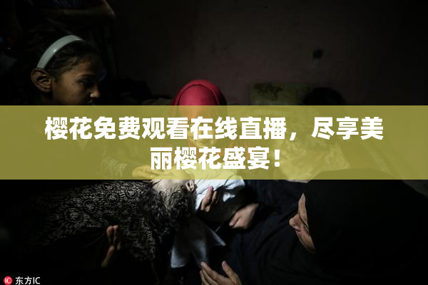 樱花免费观看在线直播，尽享美丽樱花盛宴！