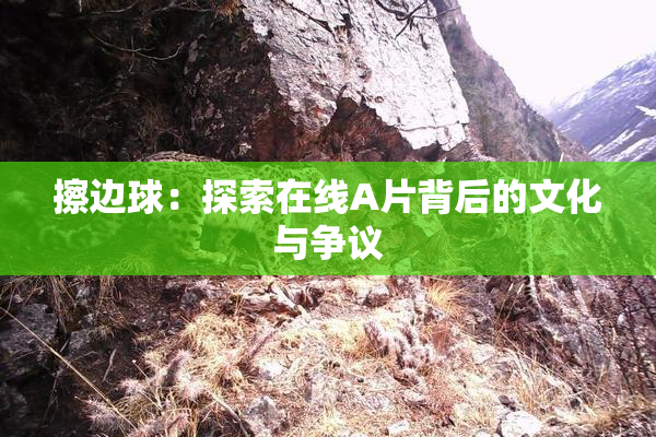 擦边球：探索在线A片背后的文化与争议