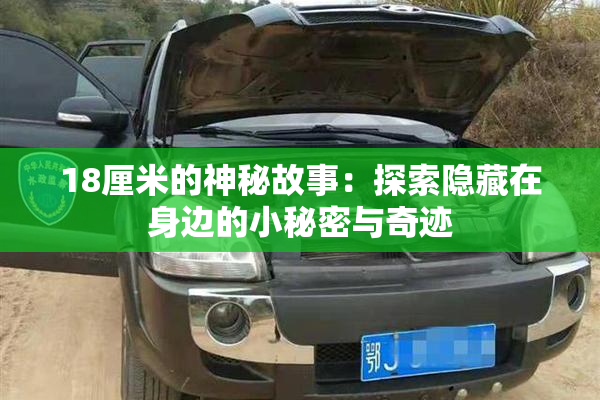 18厘米的神秘故事：探索隐藏在身边的小秘密与奇迹