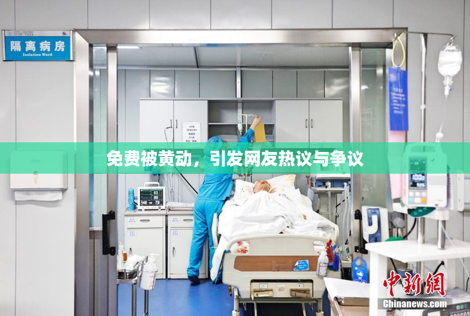 免费被黄动，引发网友热议与争议
