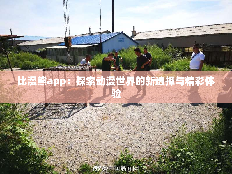 比漫熊app：探索动漫世界的新选择与精彩体验