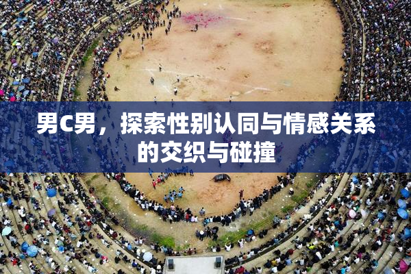 男C男，探索性别认同与情感关系的交织与碰撞