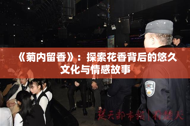 《菊内留香》：探索花香背后的悠久文化与情感故事