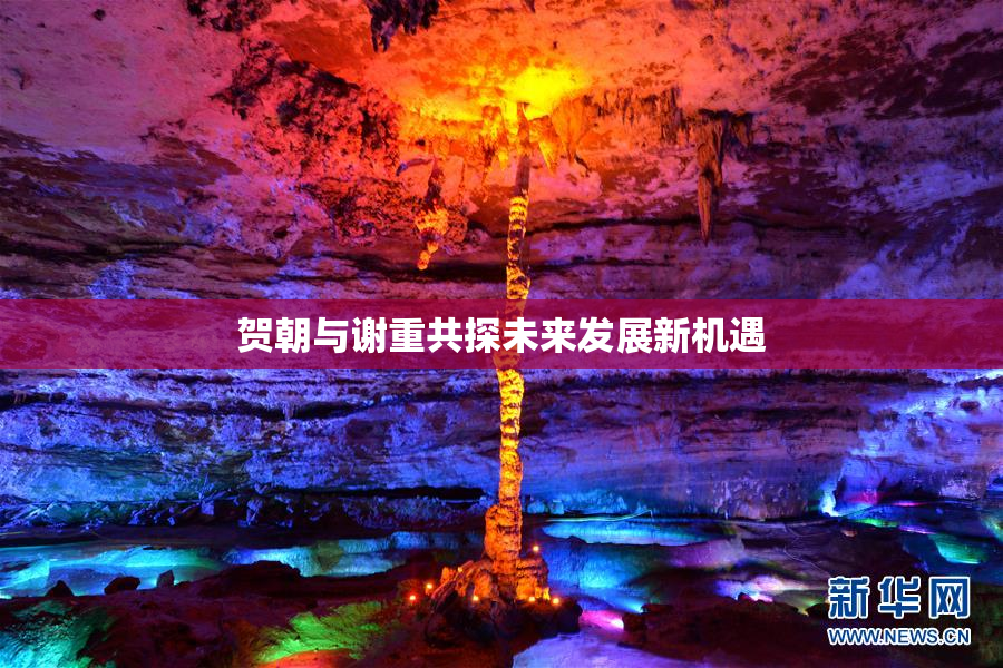 贺朝与谢重共探未来发展新机遇