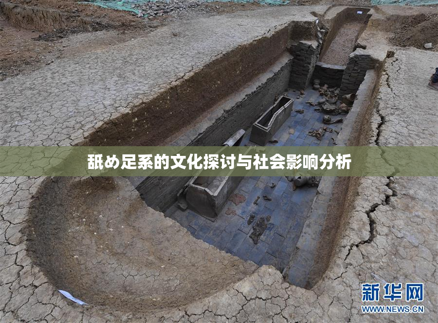 舐め足系的文化探讨与社会影响分析