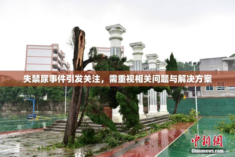 失禁尿事件引发关注，需重视相关问题与解决方案