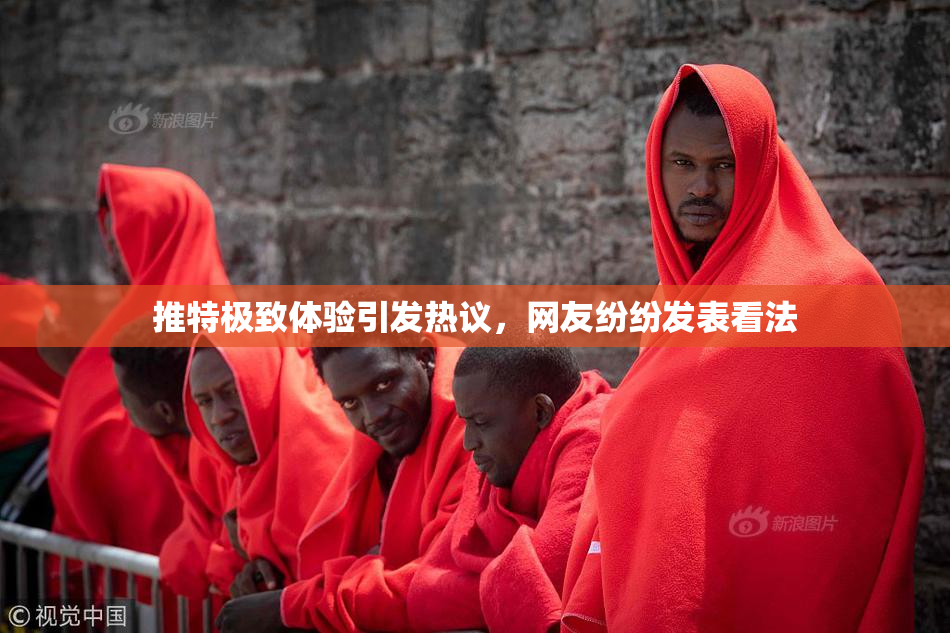 推特极致体验引发热议，网友纷纷发表看法