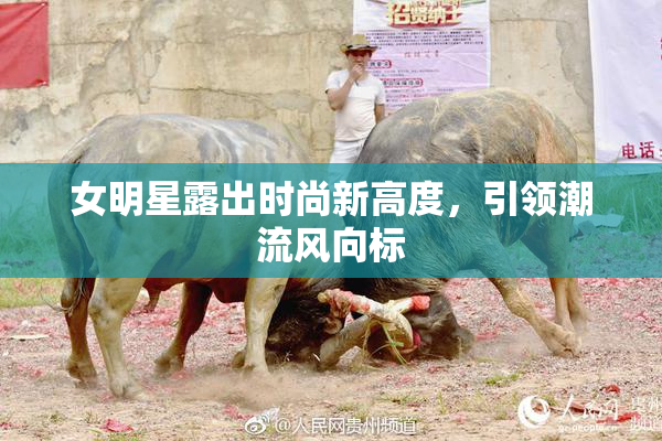 女明星露出时尚新高度，引领潮流风向标
