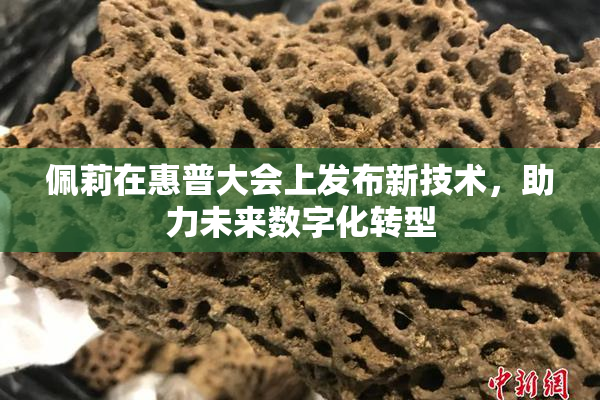 佩莉在惠普大会上发布新技术，助力未来数字化转型
